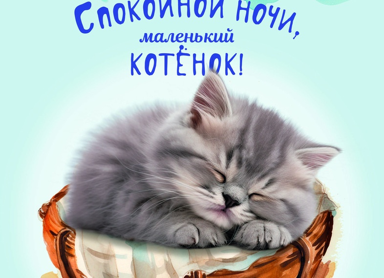 «Спокойной ночи, котенок»: картинки